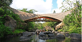 巴厘島綠色竹子建筑學(xué)校