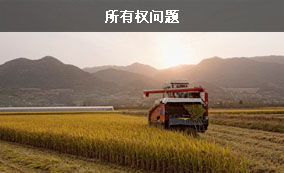 所有權(quán)問(wèn)題